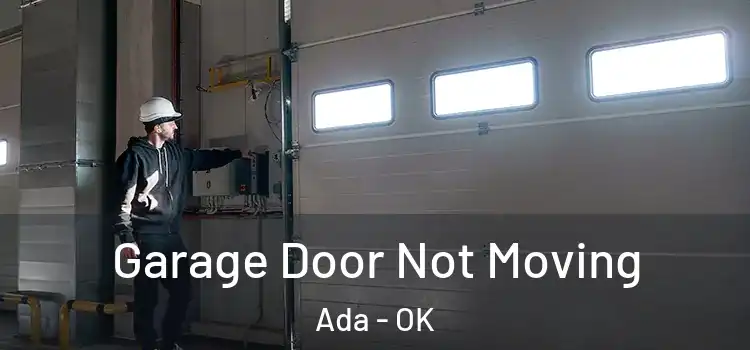  Garage Door Not Moving Ada - OK