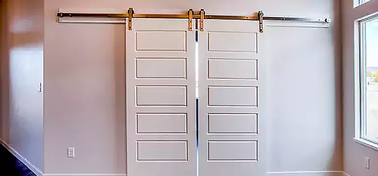 Glass Barn Door with Installation Hardware Kit Ada