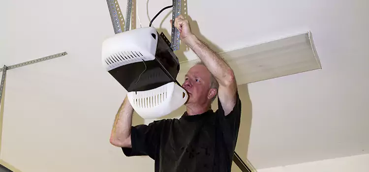 Garage Door Opener Service Ada