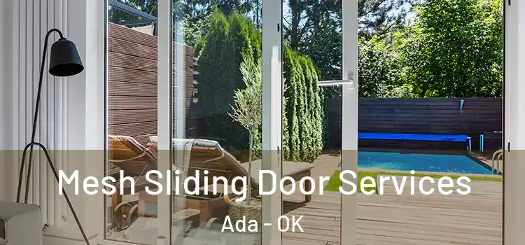 Mesh Sliding Door Services Ada - OK